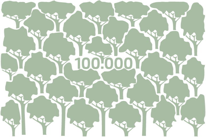 POGS forest 100 thousand tree ambition illustration