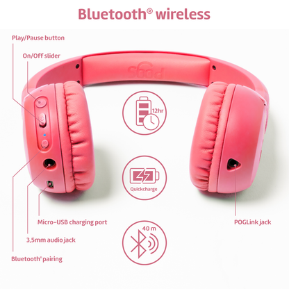 The Gecko 1 - Pink